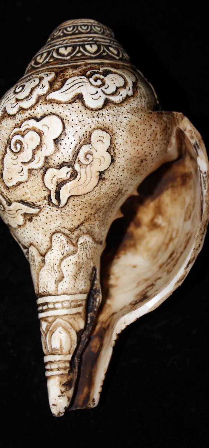 海螺雕刻的寿星摆件