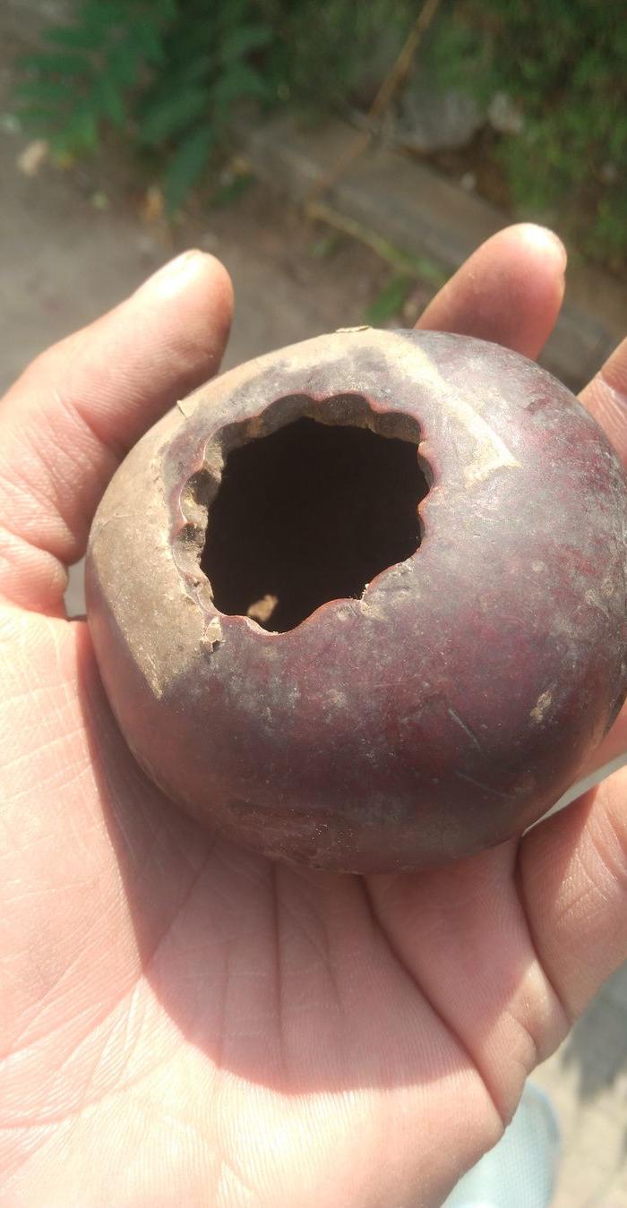 好包浆清代匏器——蝈蝈葫芦