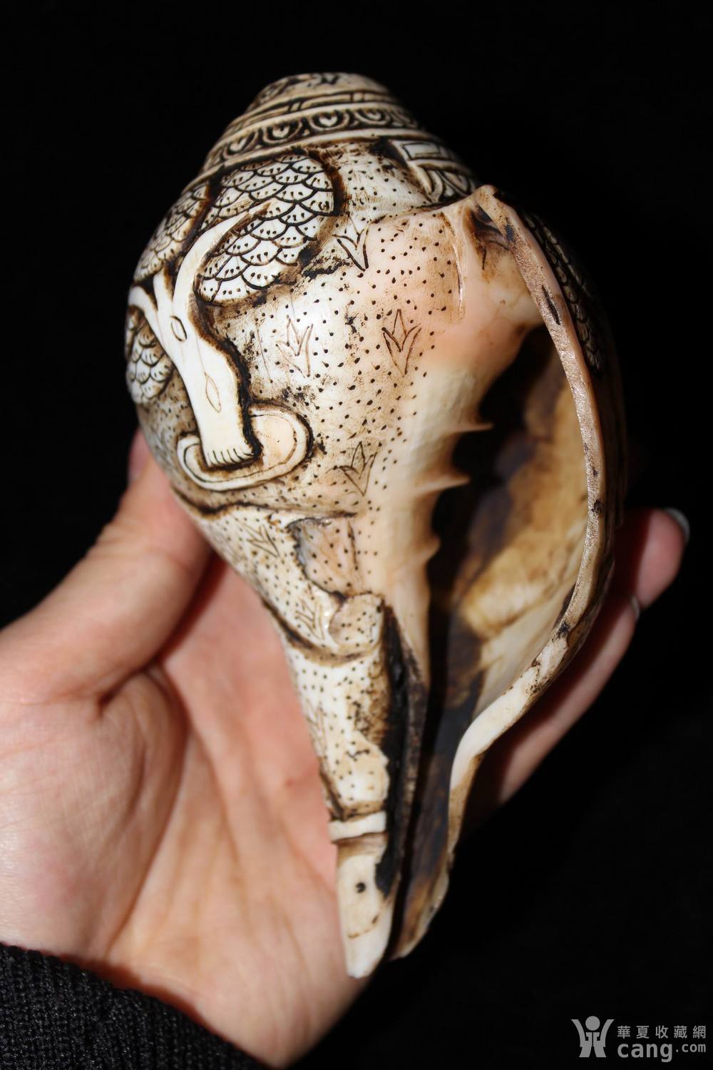 海螺雕刻的观音