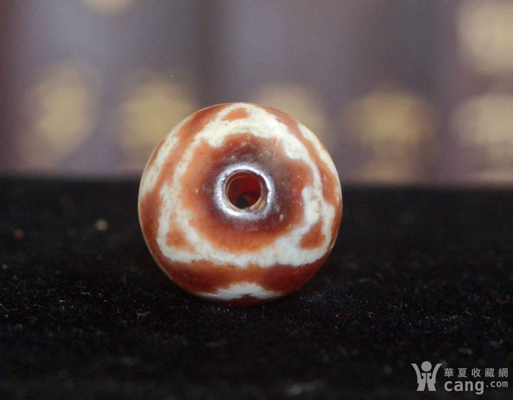 【金裕塬】红玉髓印度马牙天珠