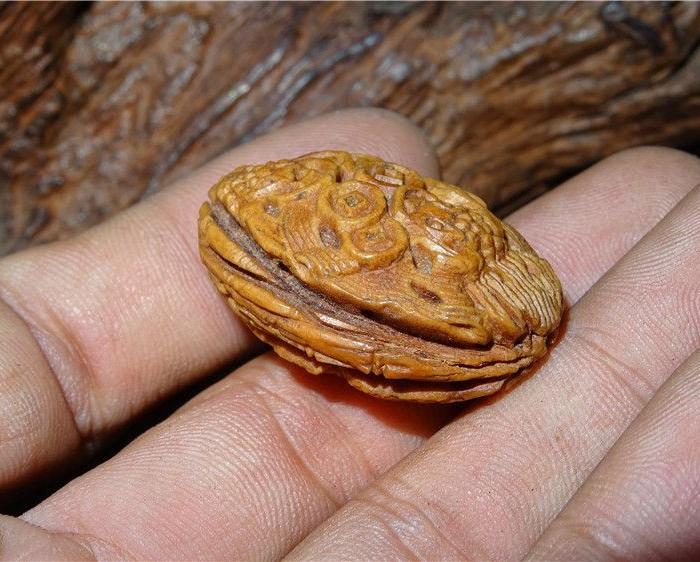 纯手工核雕金蟾莲花纹桃核一枚