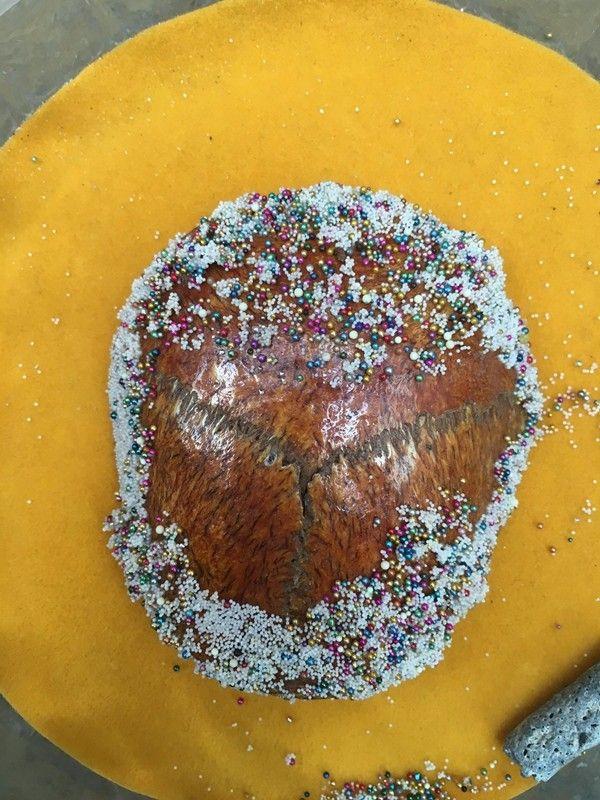 高僧头盖骨舍利子