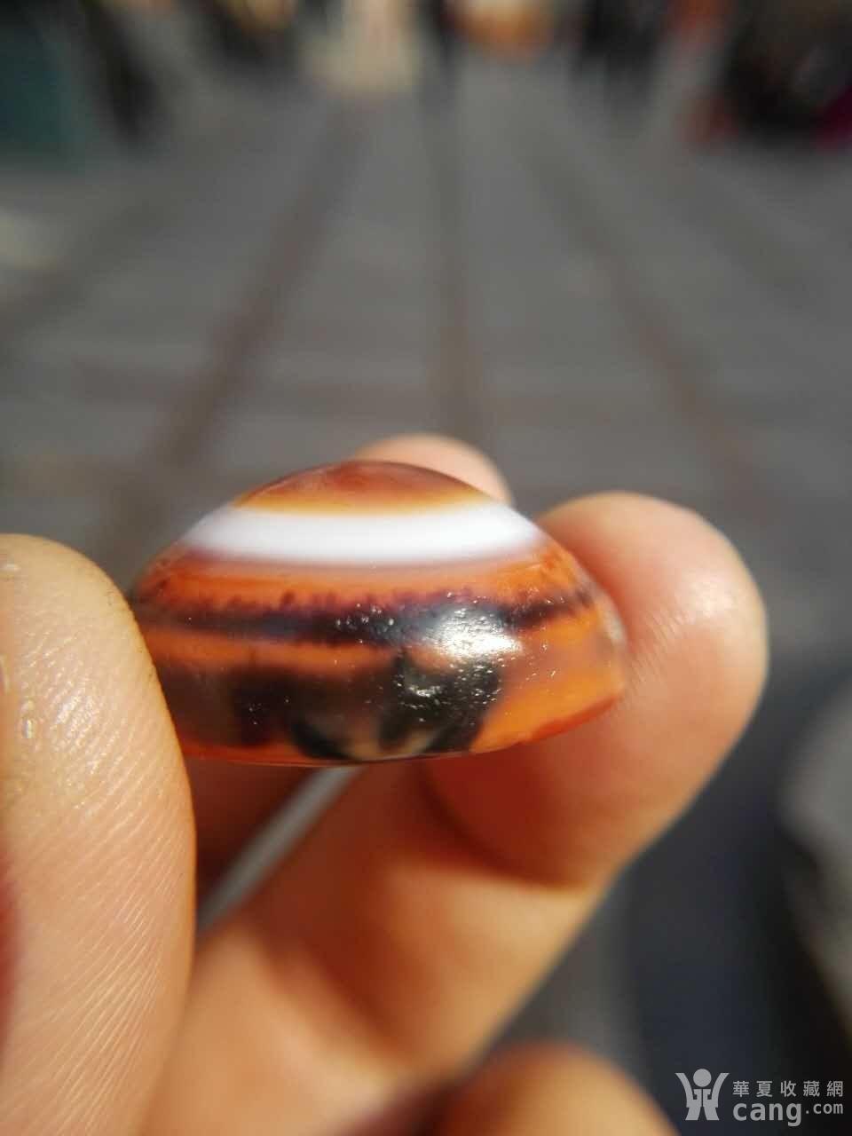 【精品藏传羊板眼天珠】 日晕似火 光冕如幻