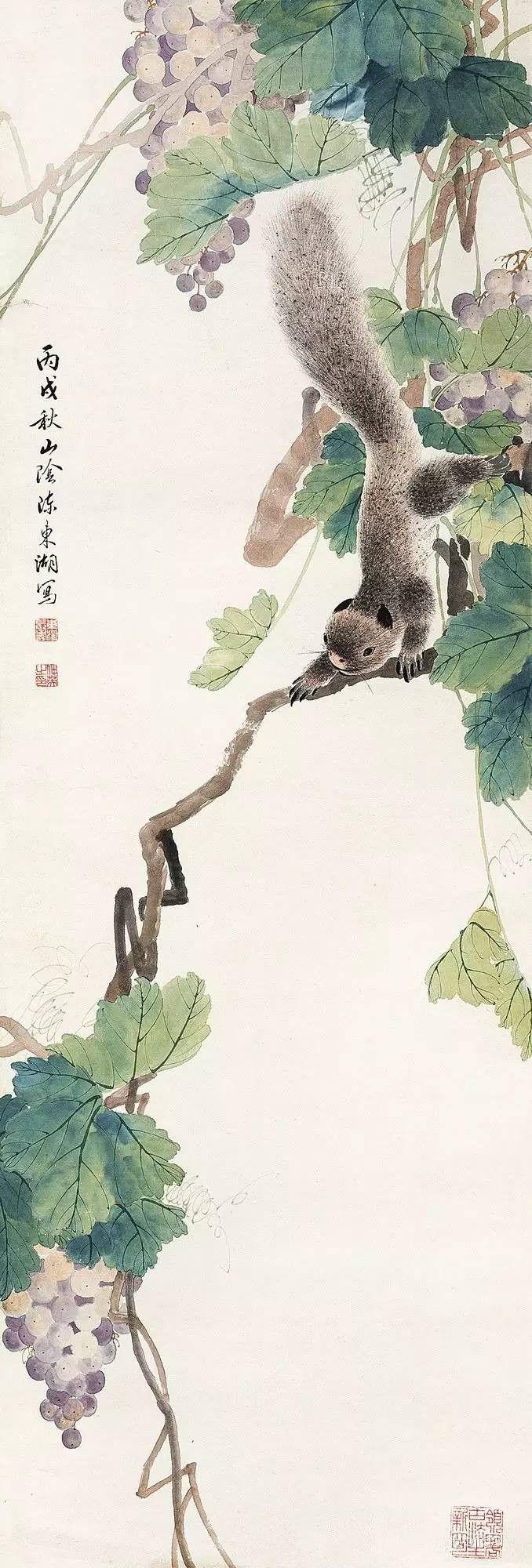 陈东湖松鼠葡萄松鼠葡萄