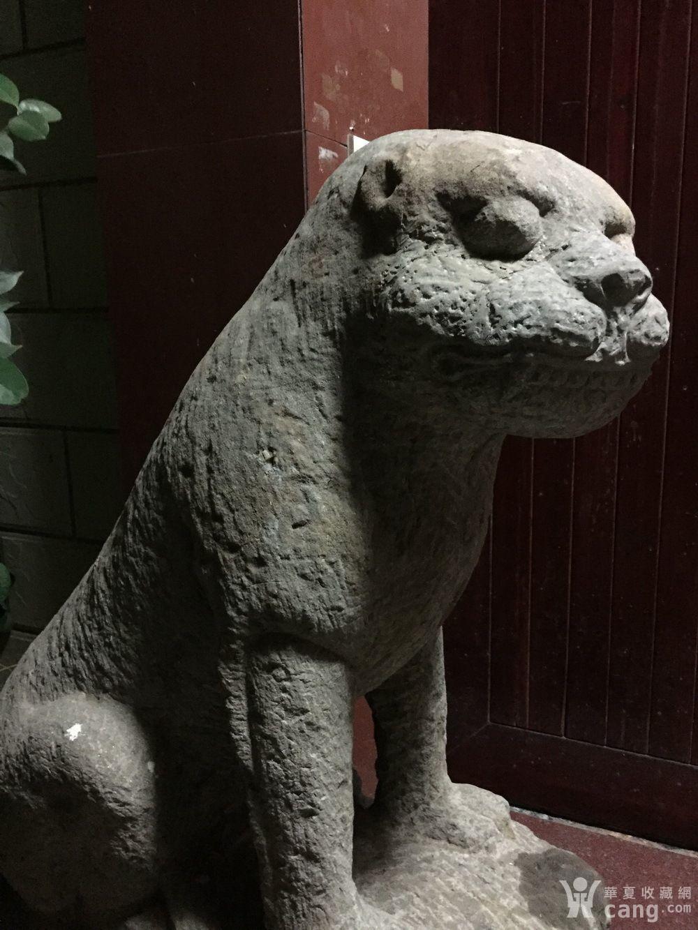 梦古轩樟木大尺寸明代清石石雕老虎