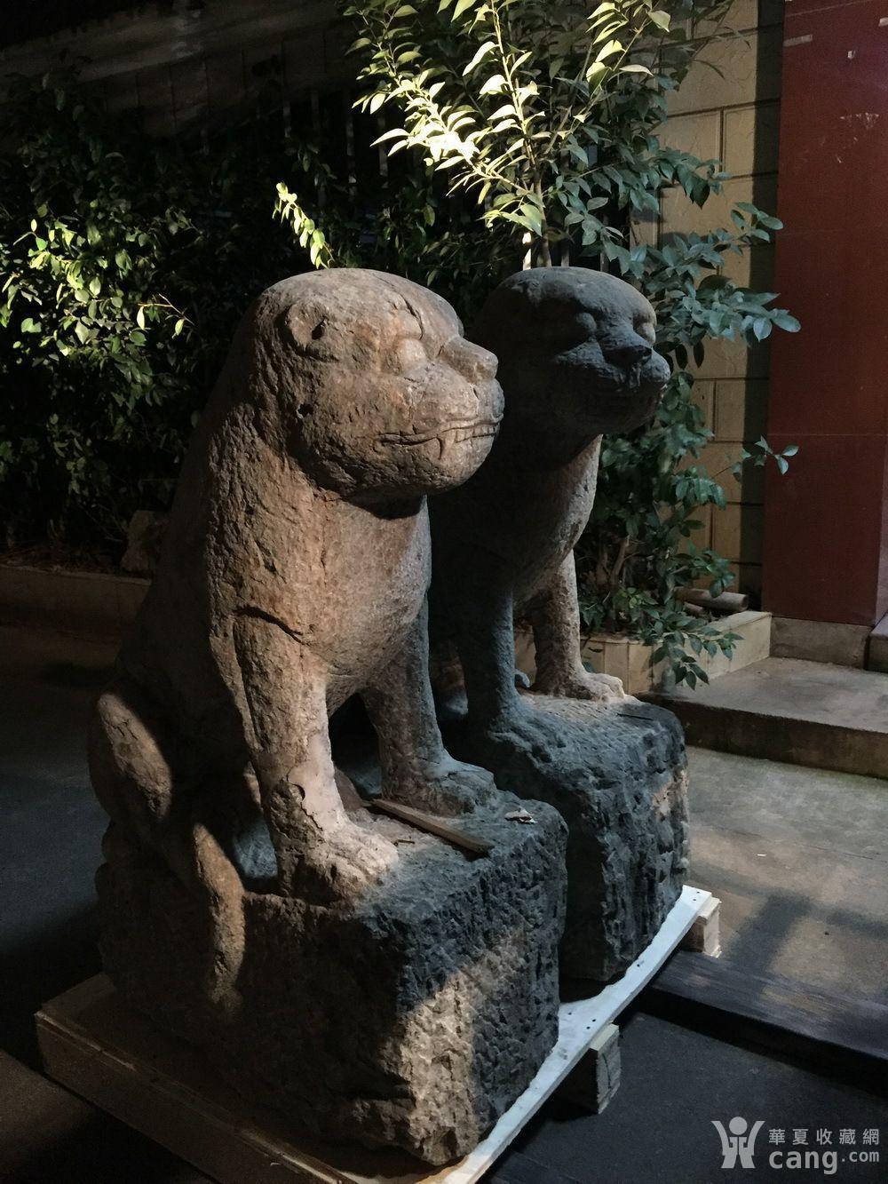 梦古轩樟木大尺寸明代清石石雕老虎