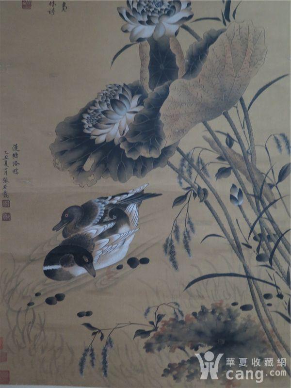 张若霭莲塘浴鸭图