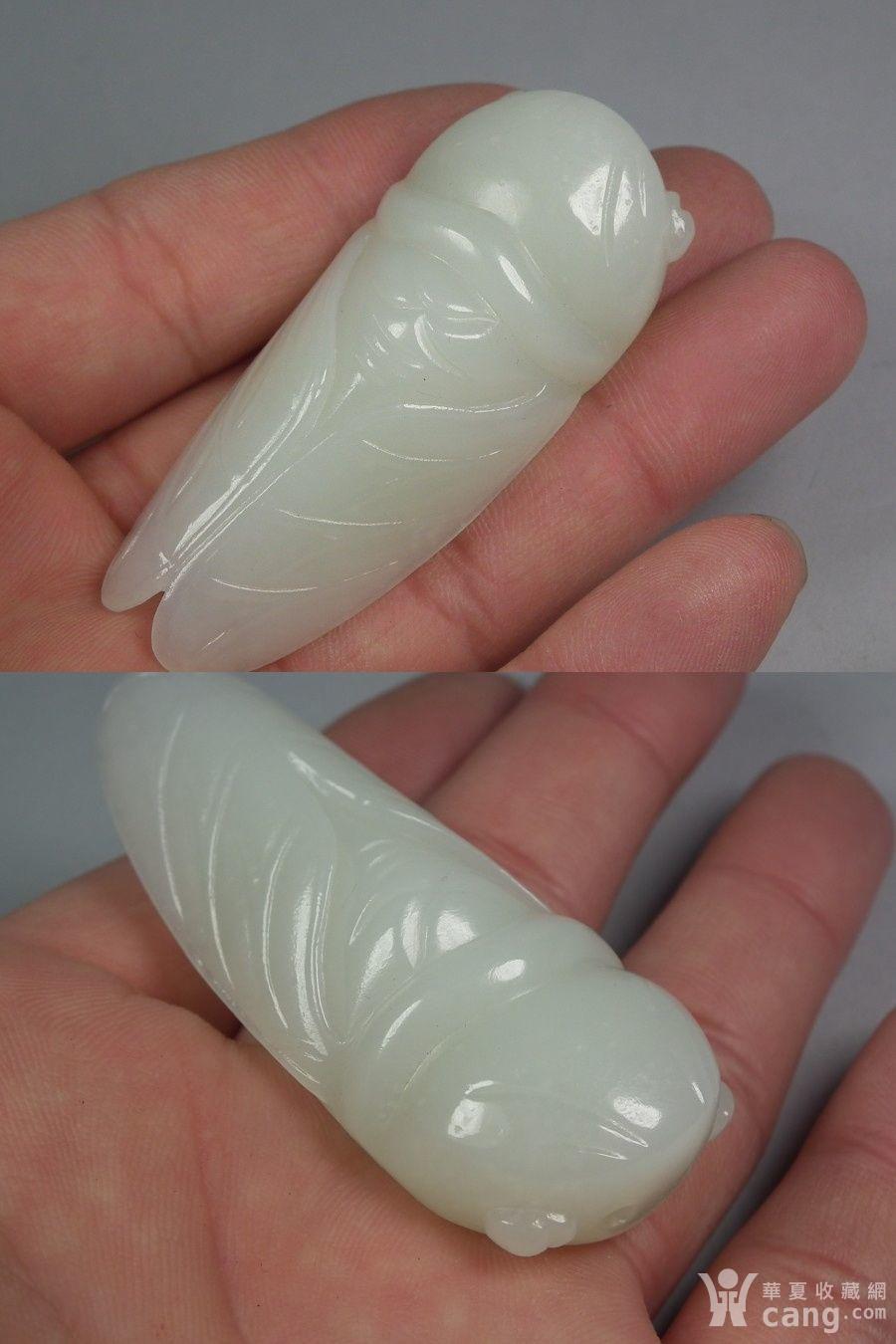 清代和田白玉籽料圆雕大玉蝉