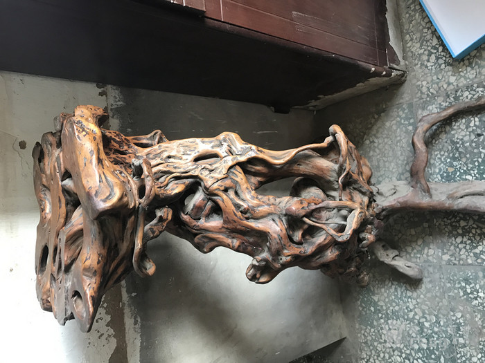 一对千年老树根