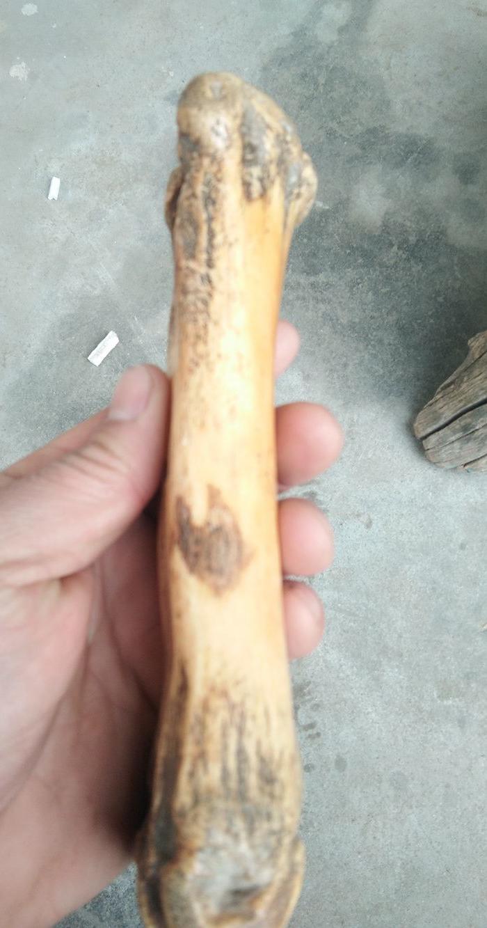 一流玻璃感包浆老骨头