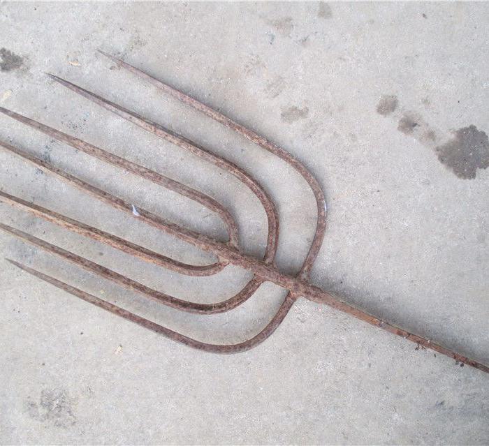 粗大的7齿老鱼叉 全品