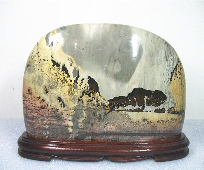 草花石 国画石精品摆件—1159