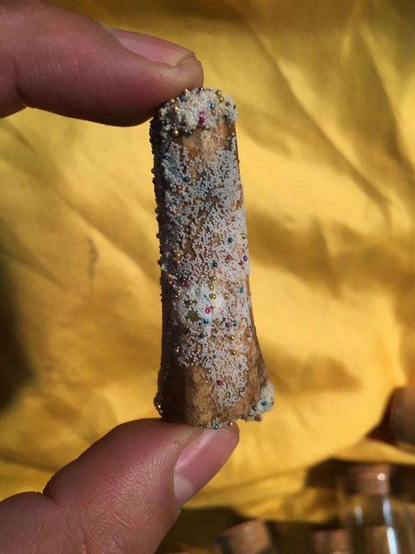 指骨舍利子一窝