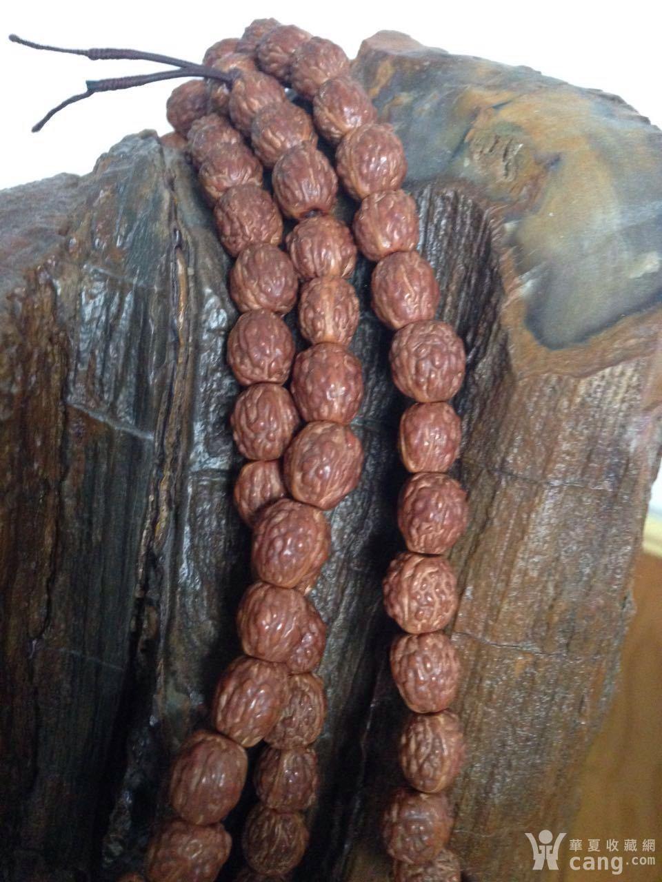 东北深山野生酸枣核手串