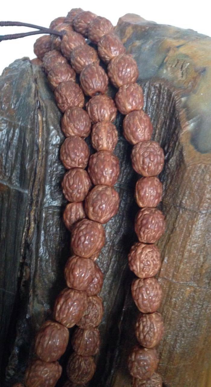 东北深山野生酸枣核手串