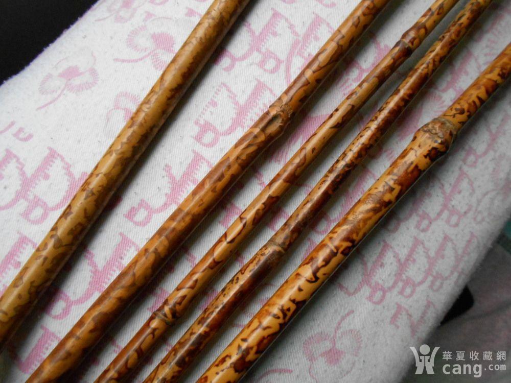 清代老斑竹[5颗]
