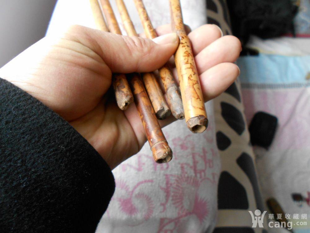 清代老斑竹[5颗]