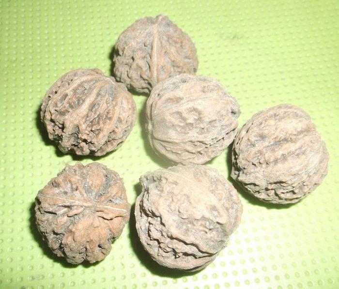 六枚野生核桃