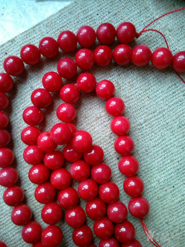 沙丁红珊瑚两串(8mm)