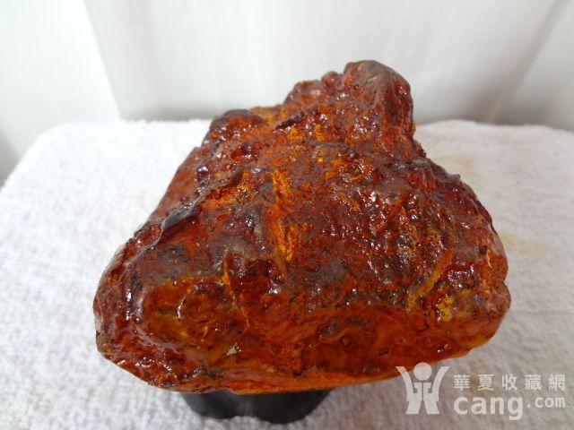 探寻波罗的海琥珀：历史与现代的交融