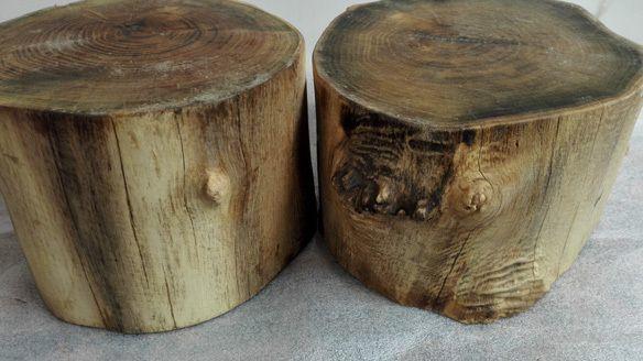 两个老槐木茶树墩