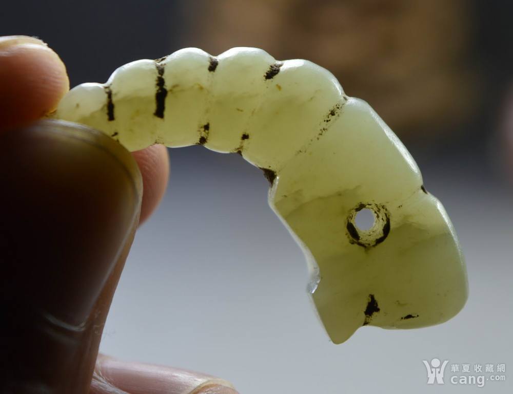 西周玉蚕_地摊交易_华夏收藏网
