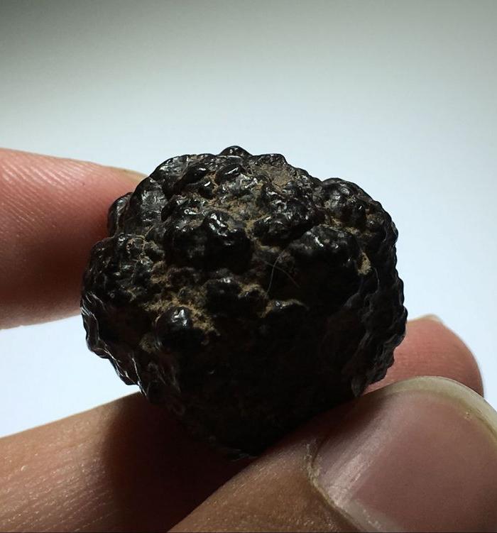 【天外来客】陨石 金蝉 穿越大气层时的燃烧痕迹清晰