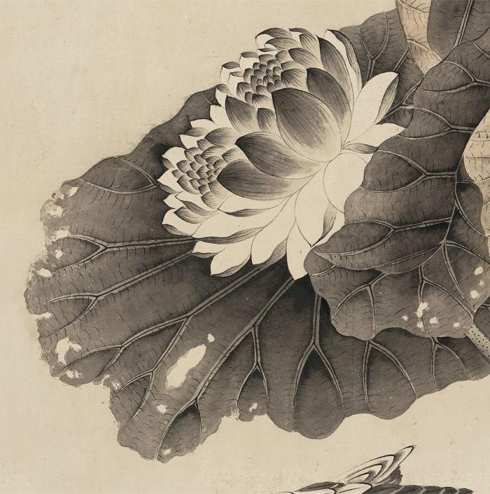 清-张若霭-莲塘浴鸭图