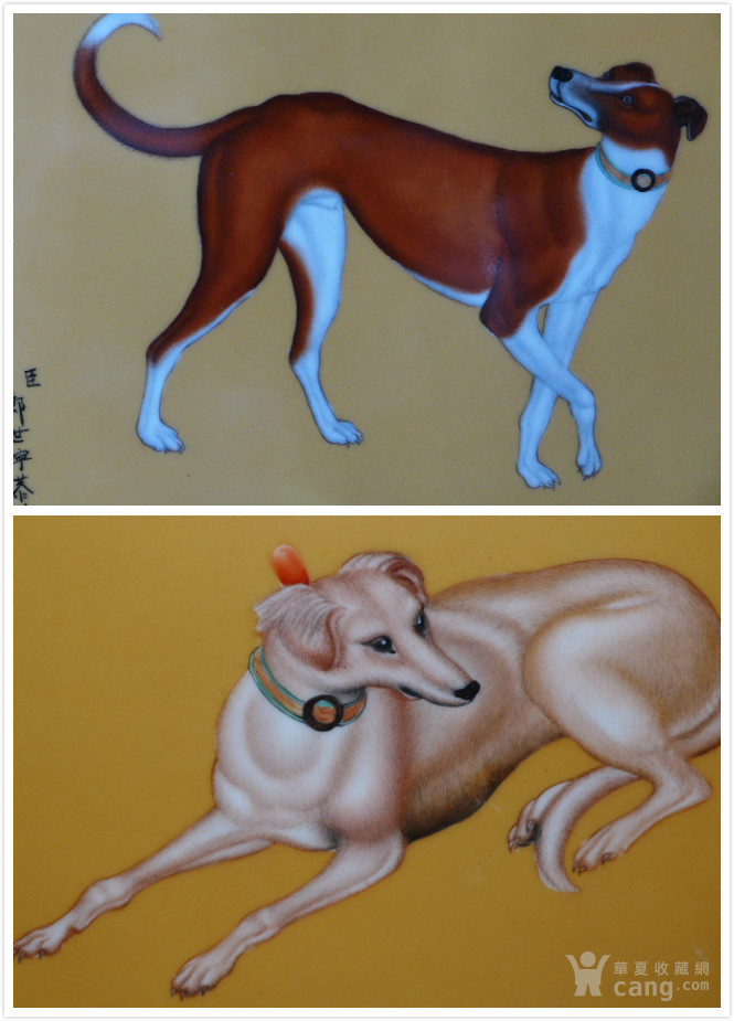 郎士宁十犬图图片