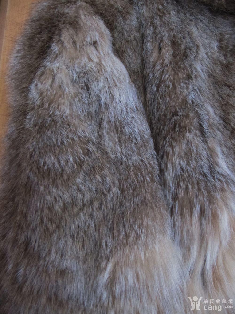 极其少见的兔狲(羊猞猁)皮大衣