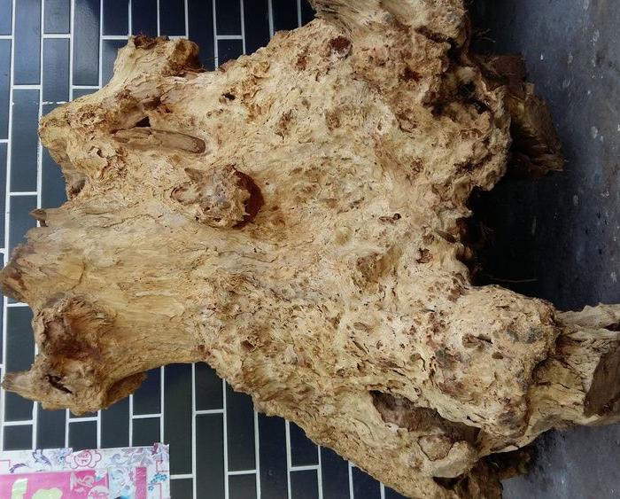 有要香杉树瘤的朋友联系,价格不高