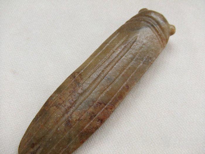 乡下收来的老玉蝉