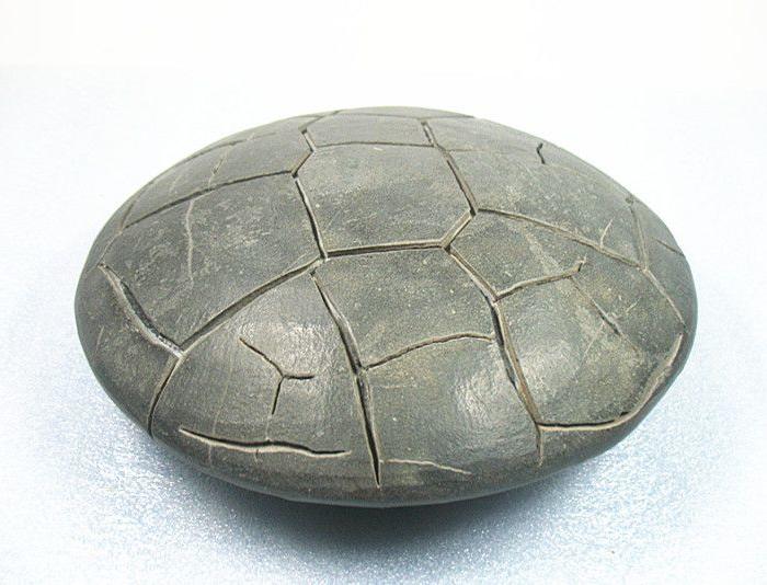 龟纹石 广西奇石 精品 摆件 281