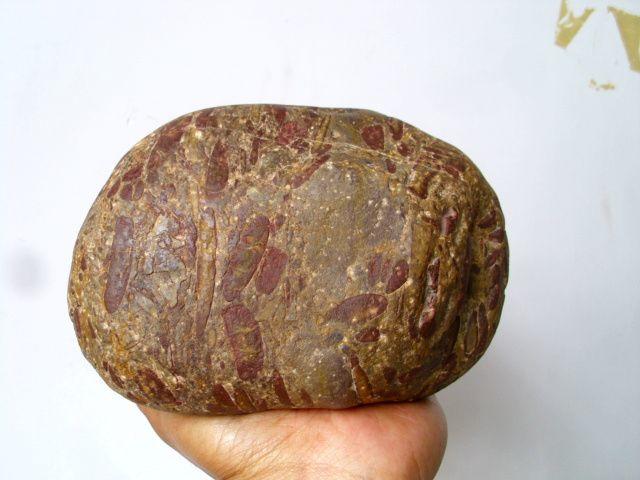 文房清供 老豆瓣石