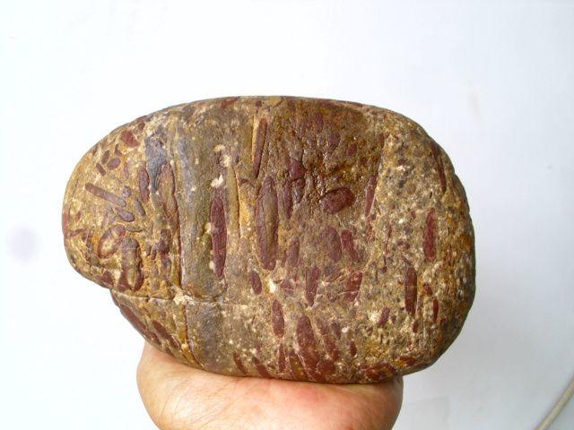 文房清供 老豆瓣石