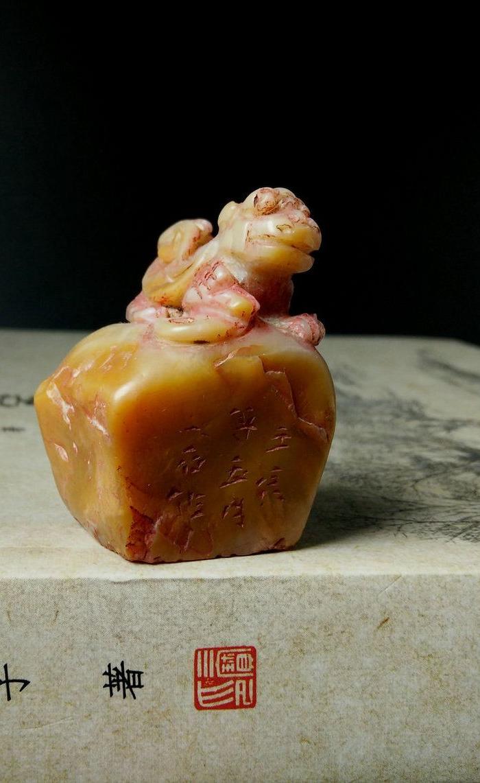 清代光绪 江苏通州籍文学家范当世寿山石闲章 一字铜士印