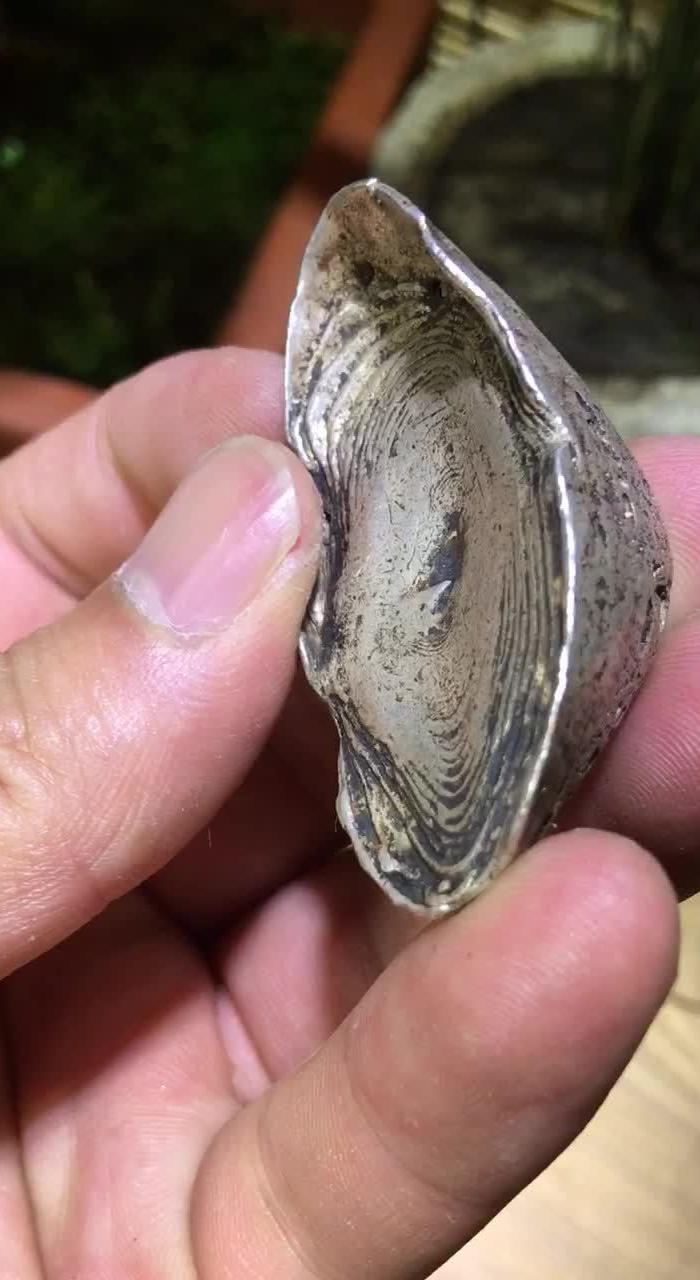 清代美品银锭一枚 银锭