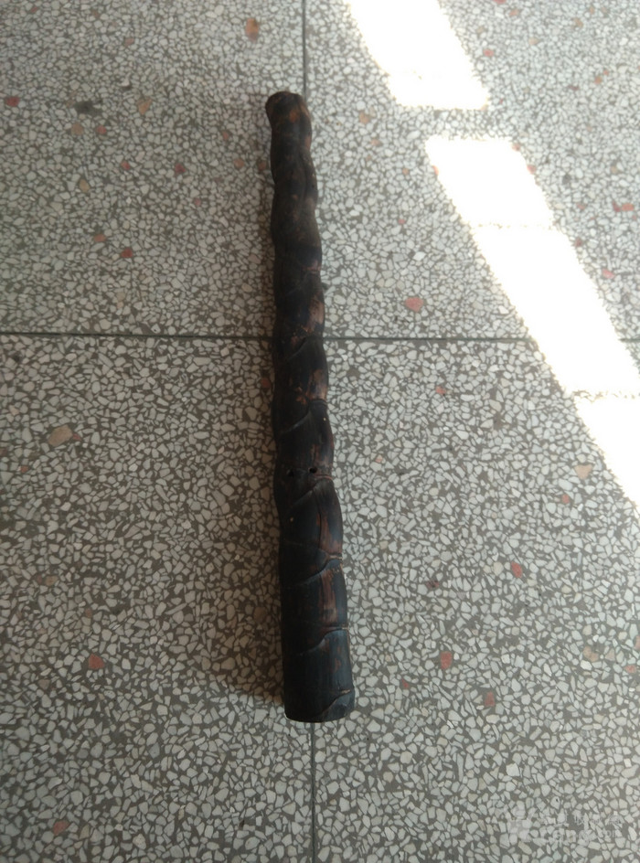百年罗汉竹