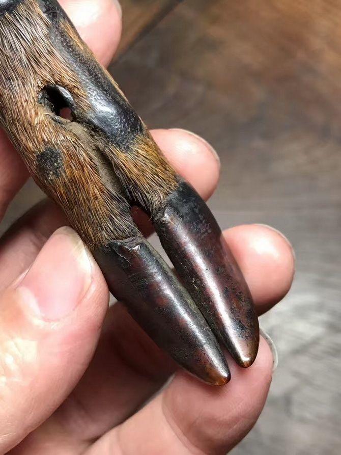 麂子腿辟邪老吊坠