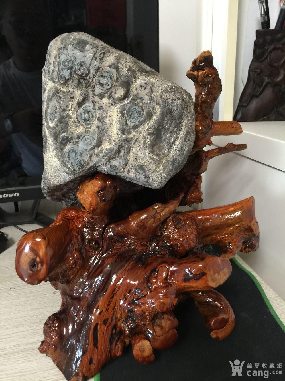 蓝花石《凝望》