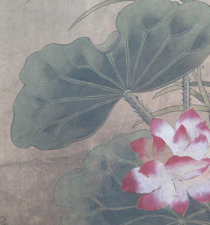 王冕的荷花画,画荷花的故事,的画_大山谷图库