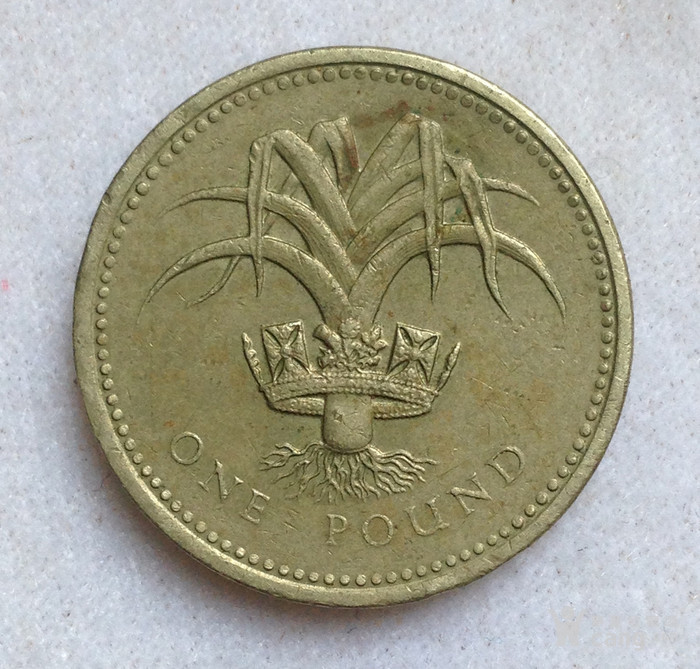 一元英镑图片硬币图片