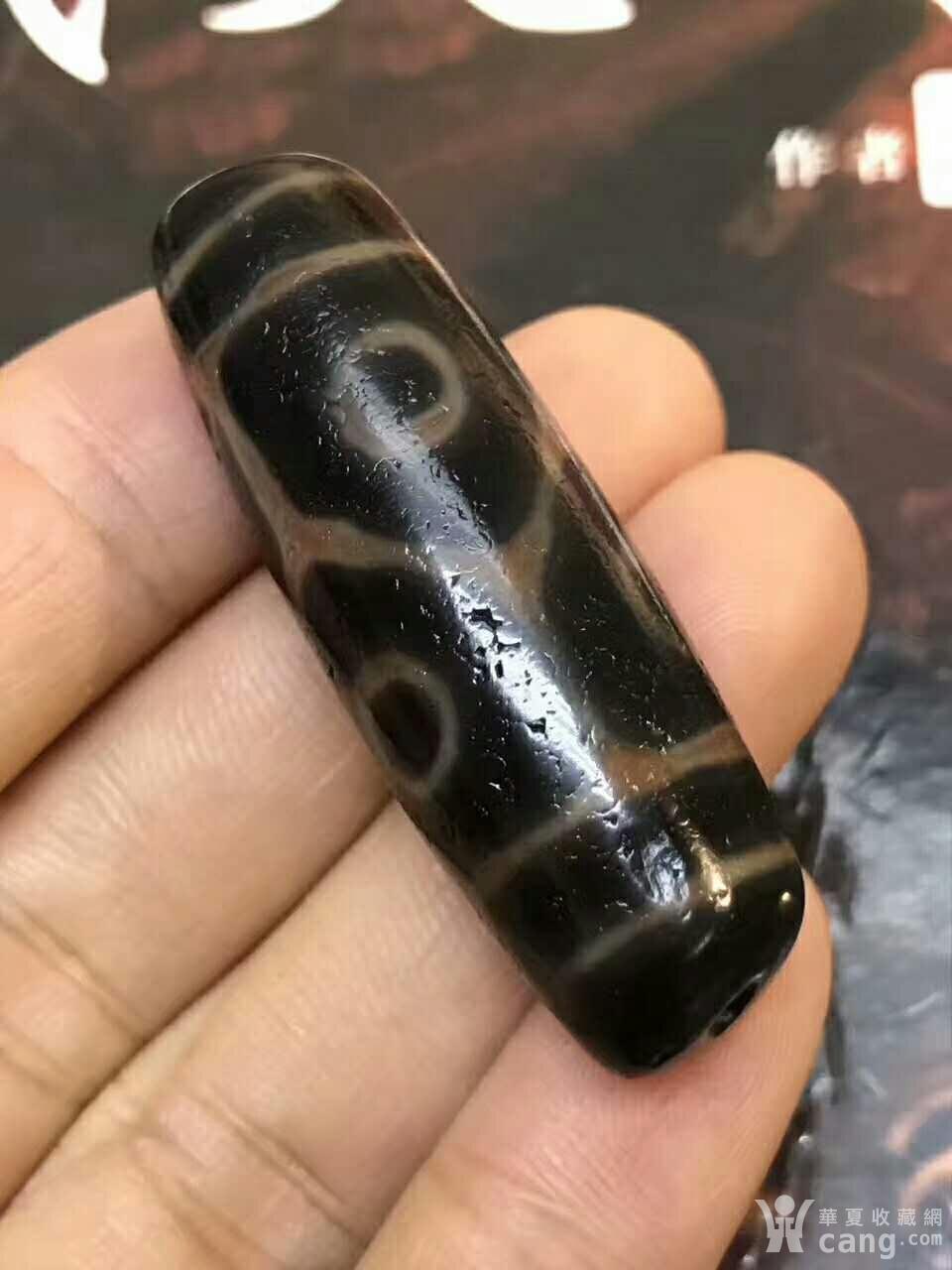 龟甲六眼高油天珠