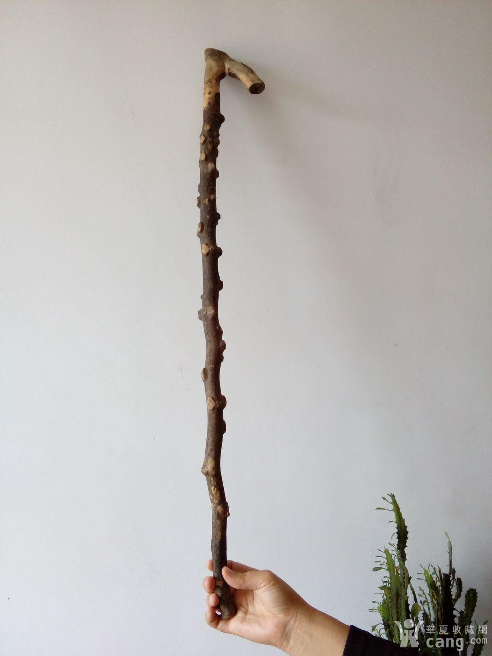 清代野生老花椒木拐杖