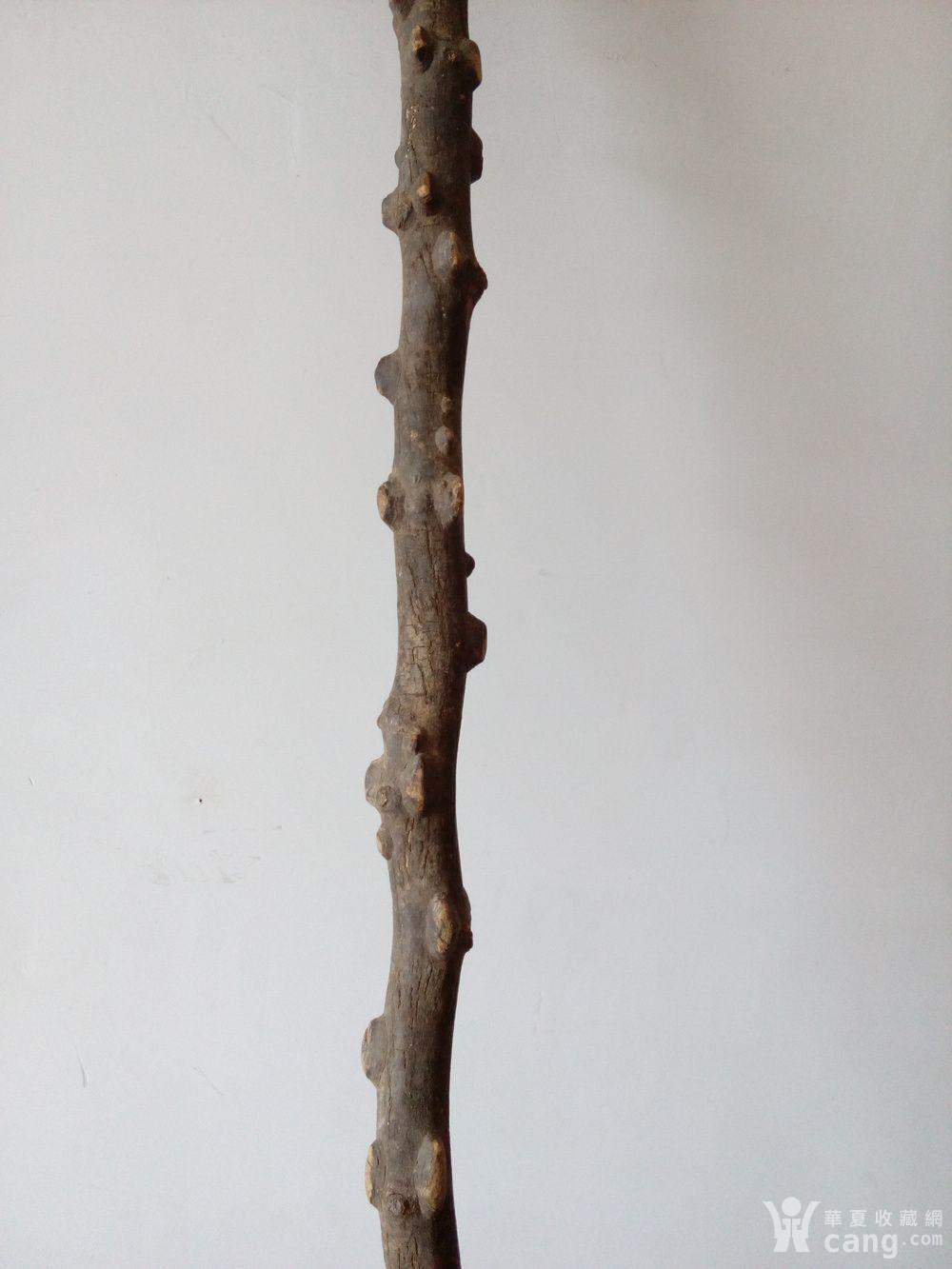 清代野生老花椒木拐杖
