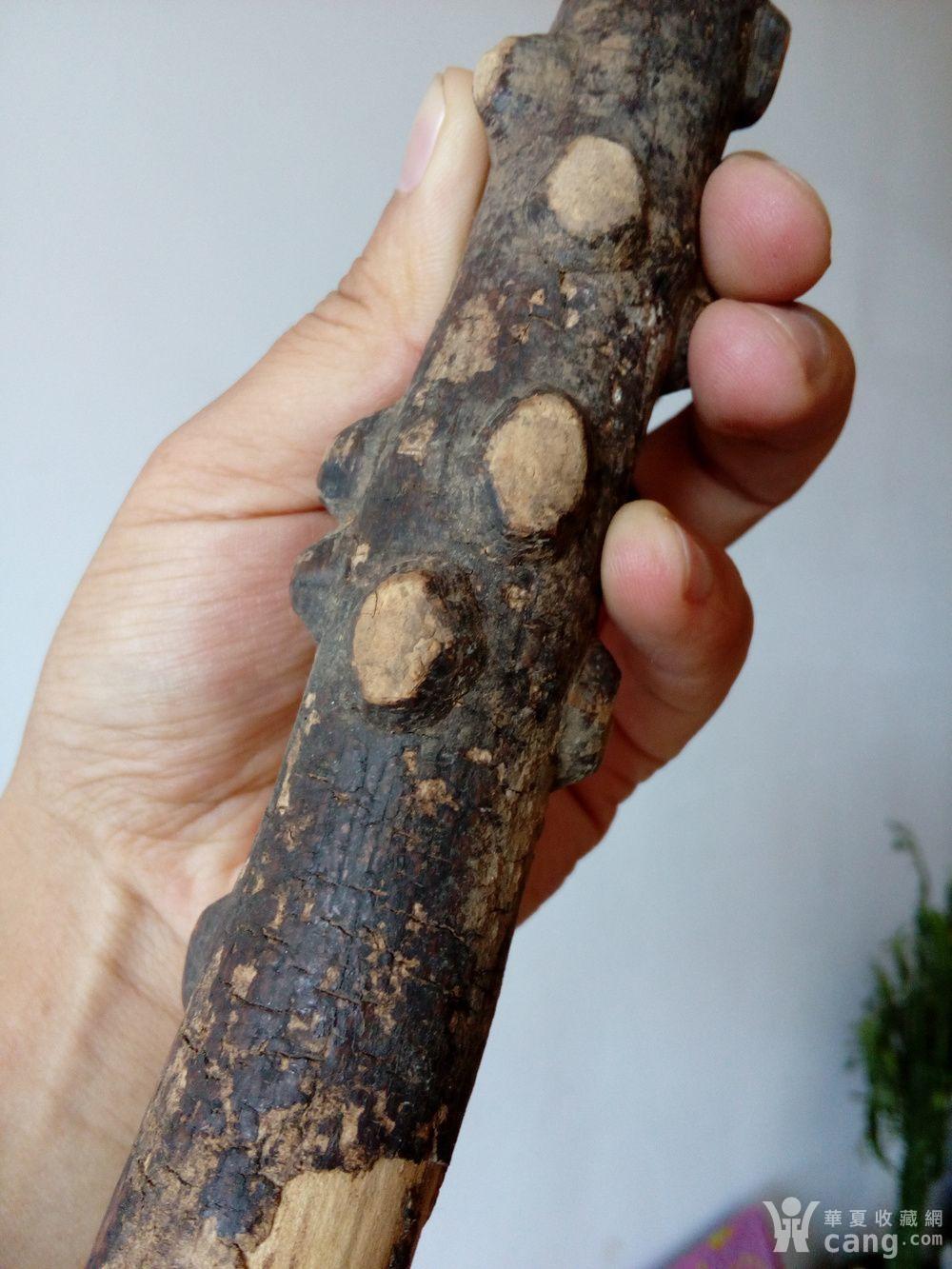 清代野生老花椒木拐杖
