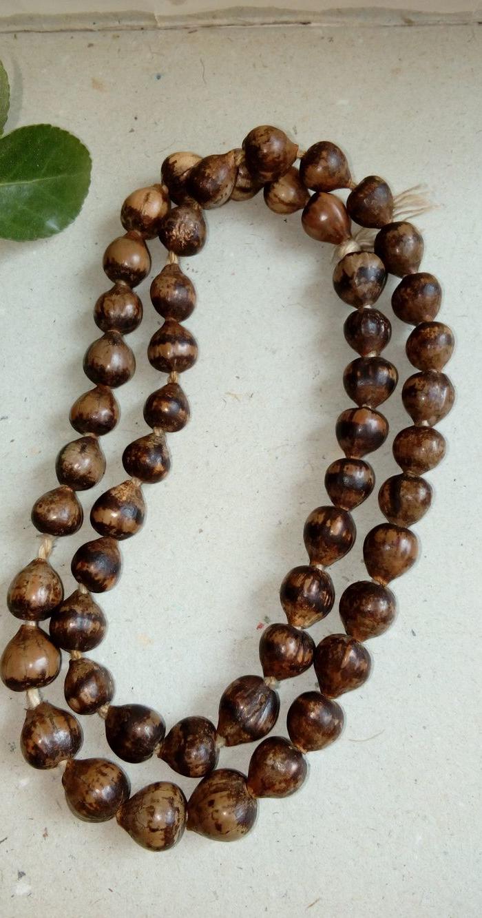 老珠串 老菩提 老草珠菩提