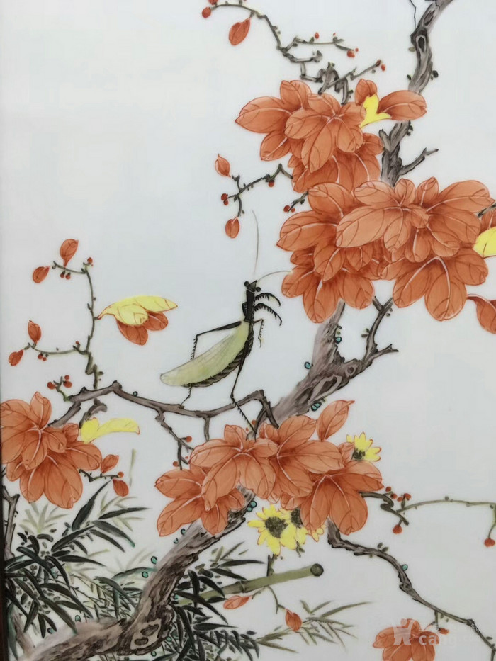 螳螂扑蝉粉彩瓷板 李明亮
