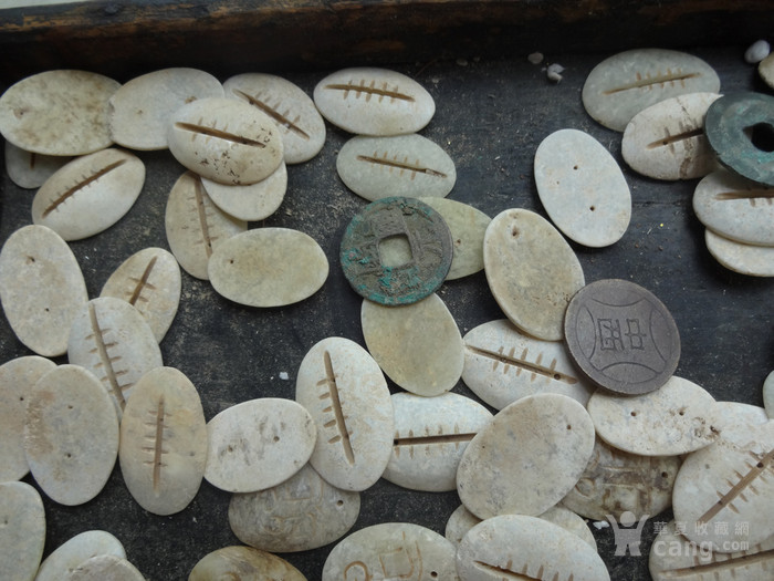 古代贝壳钱币古人图片