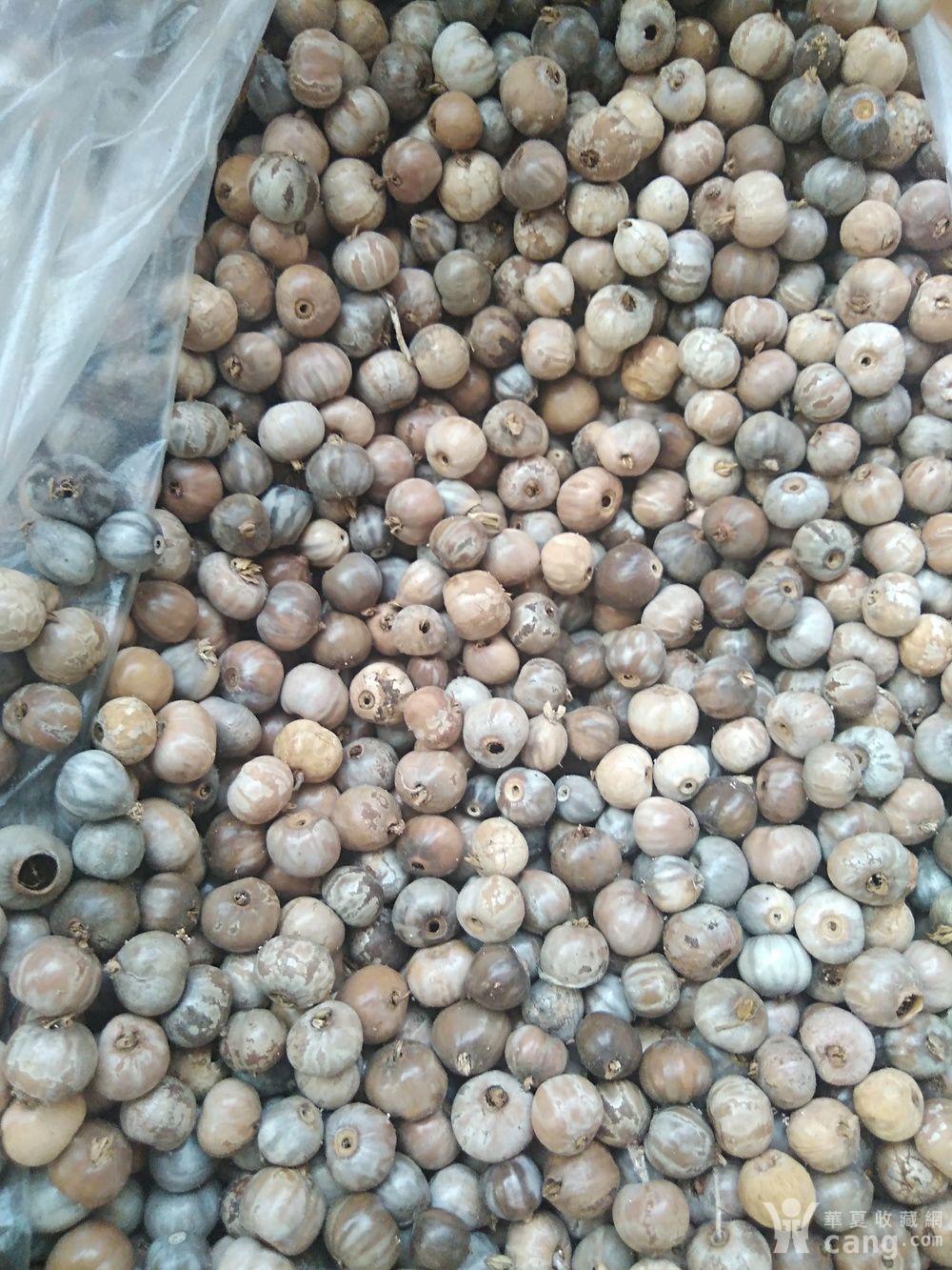 自己摘得两三千左右薏仁米老草珠子 大约一斤